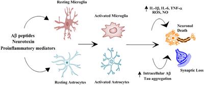 Anti-neuroinflammatory Potential of Natural Products in Attenuation of Alzheimer's Disease